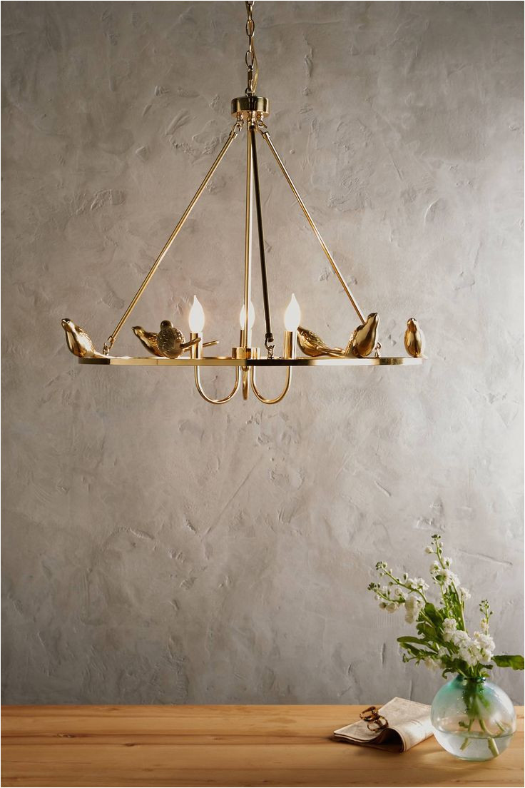 golden perch chandelier