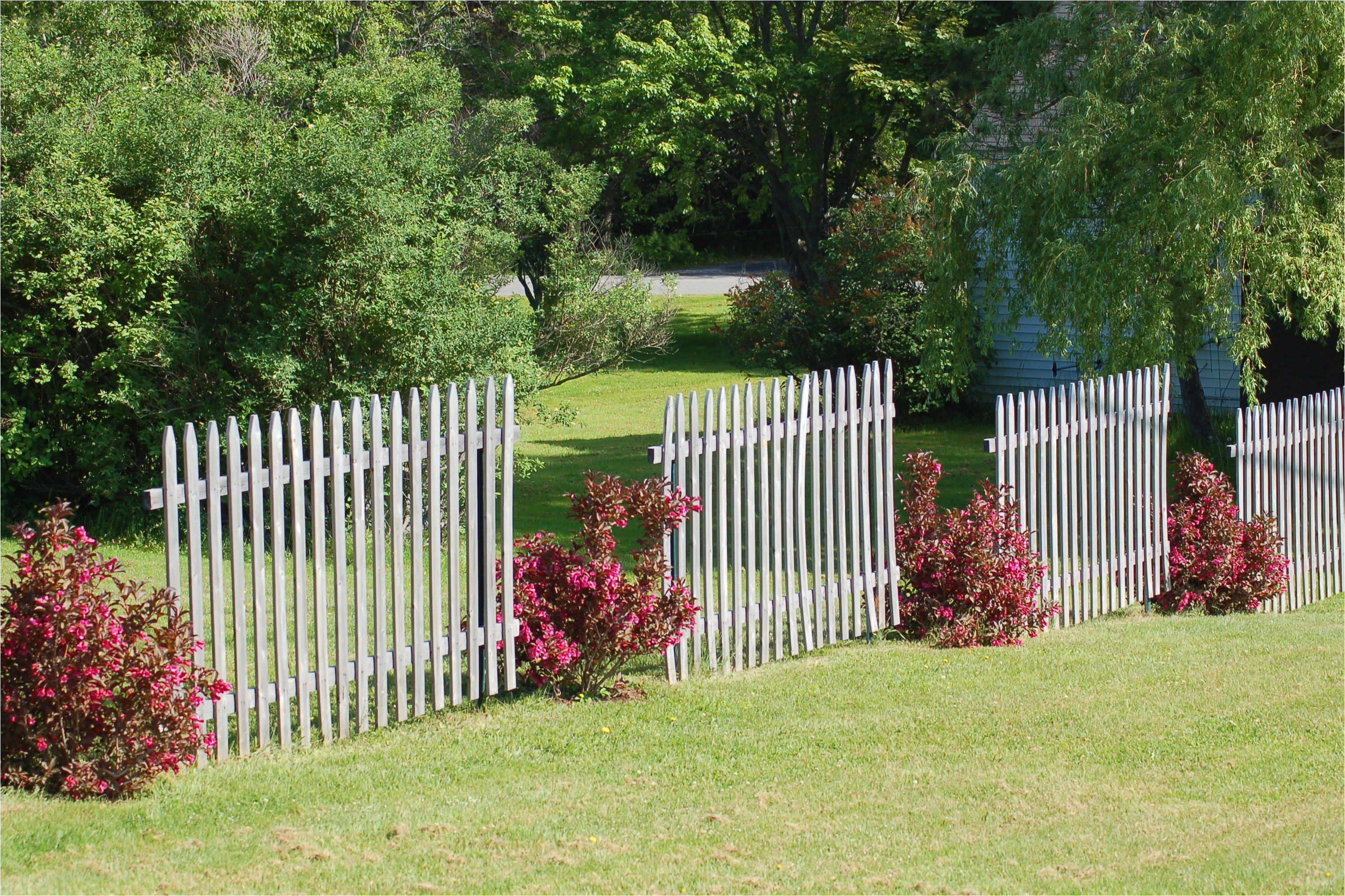 alternating shrub fence sec 56a584685f9b58b7d0dd412f jpg