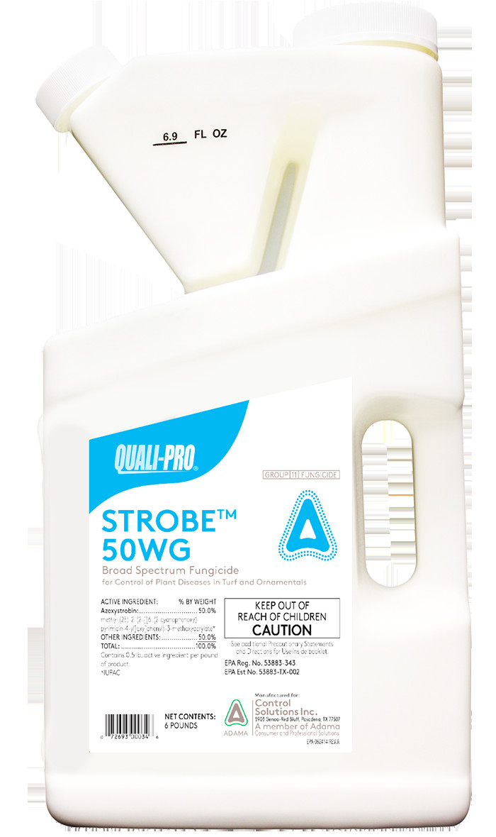 strobe 50wg fungicide is a broad spectrum preventative fungicide with systemic and curative properties