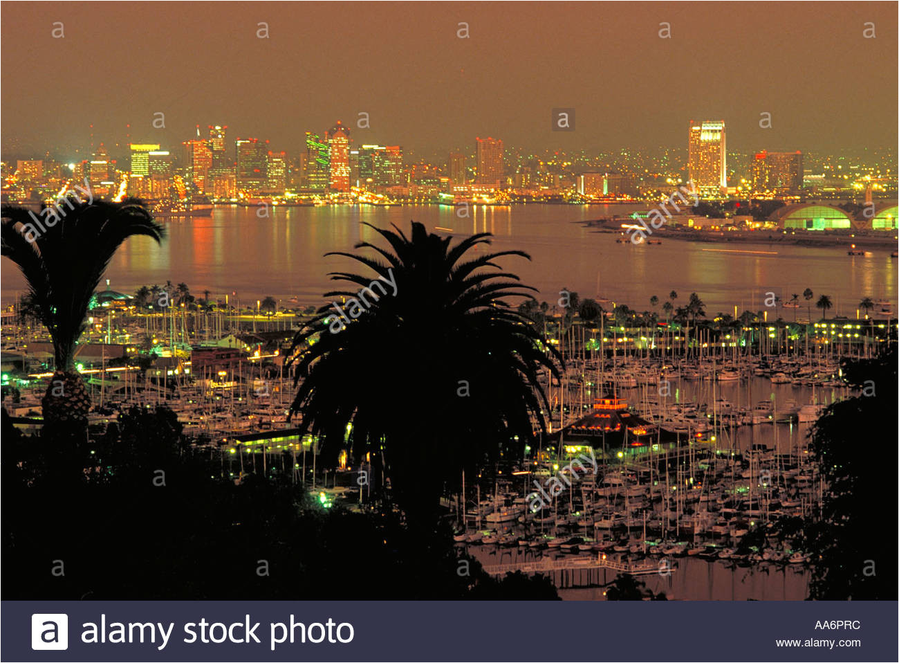 elk246 1168 california san diego downtown skyline nacht stockbild