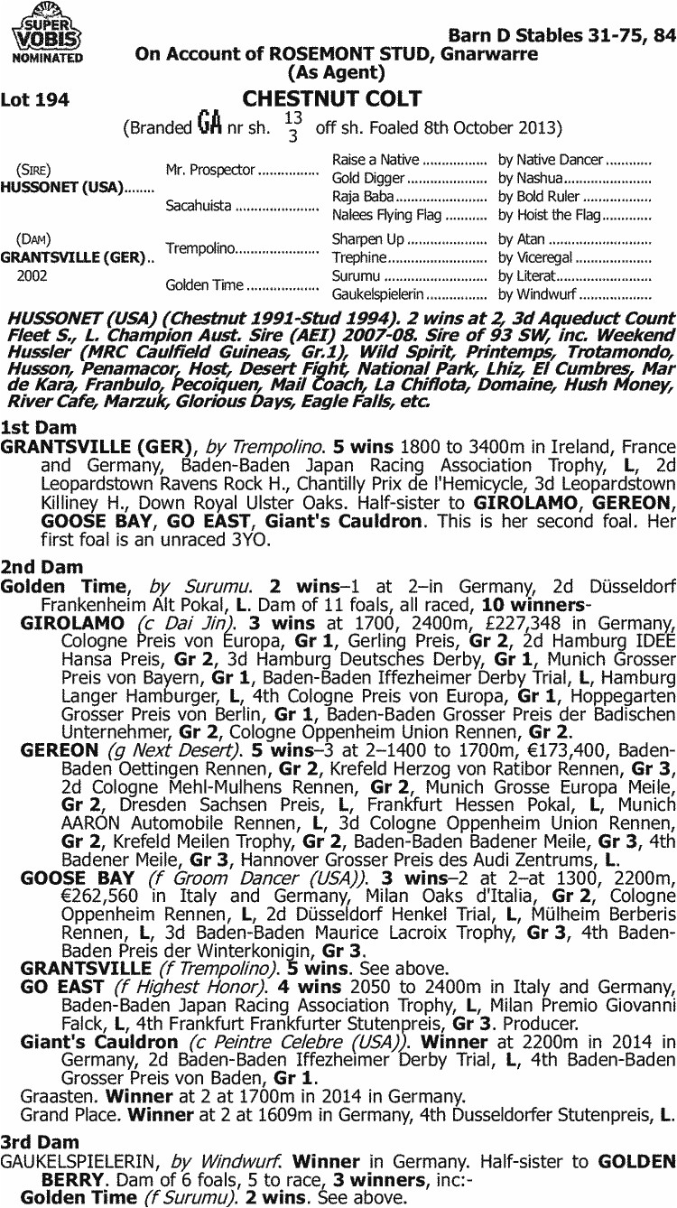 inglis 2015 melbourne premier yearling sale lot 194 hussonet usa x grantsville ger