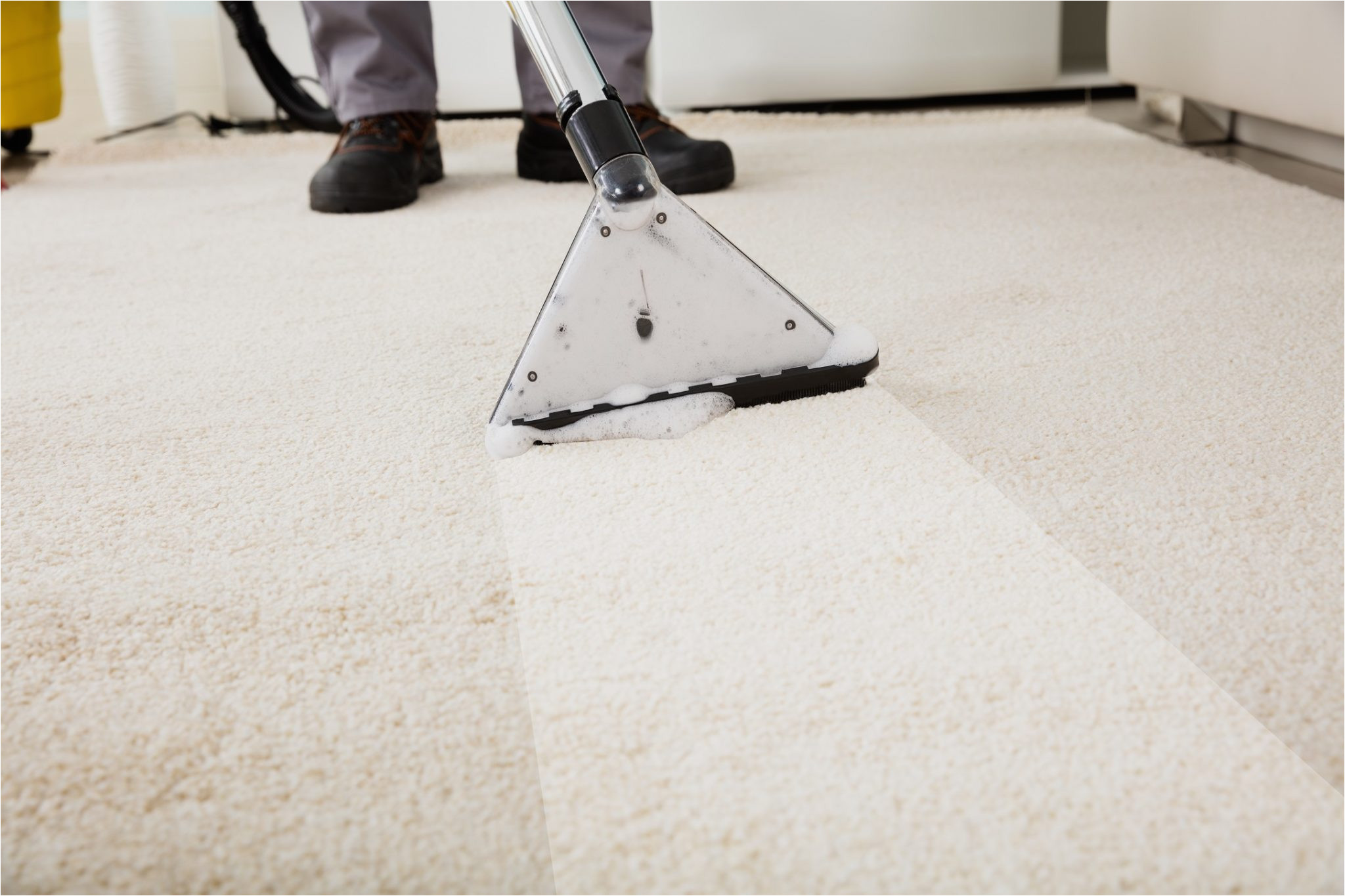 carpet cleaners stafford va elegant carpet cleaning fredericksburg va area free quotes of carpet cleaners stafford va jpg