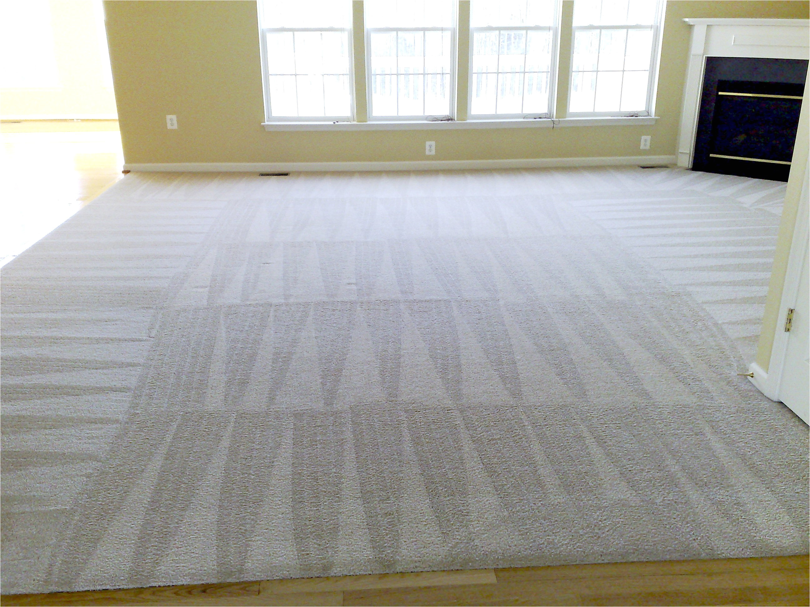 carpet cleaners stafford va fresh superior fabric cleaners fredericksburg carpet cleaners of carpet cleaners stafford va jpg