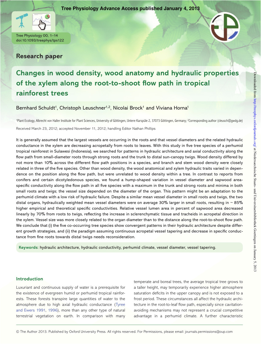 pdf changes in wood density wood anatomy and hydraulic properties of the xylem along the root to shoot flow path in tropical rainforest trees