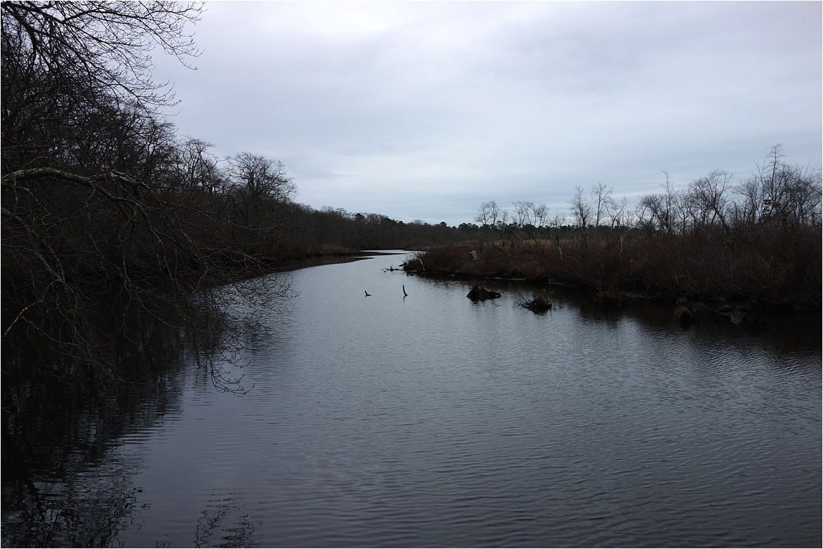 1200px carmans river 2c wertheim national wildlife refuge jpg