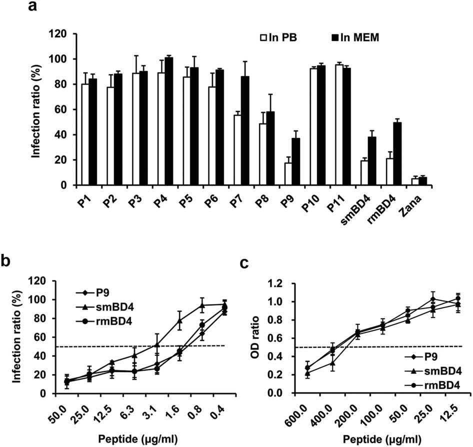 a novel peptide with potent and broad spectrum antiviral activities against multiple respiratory viruses scientific reports