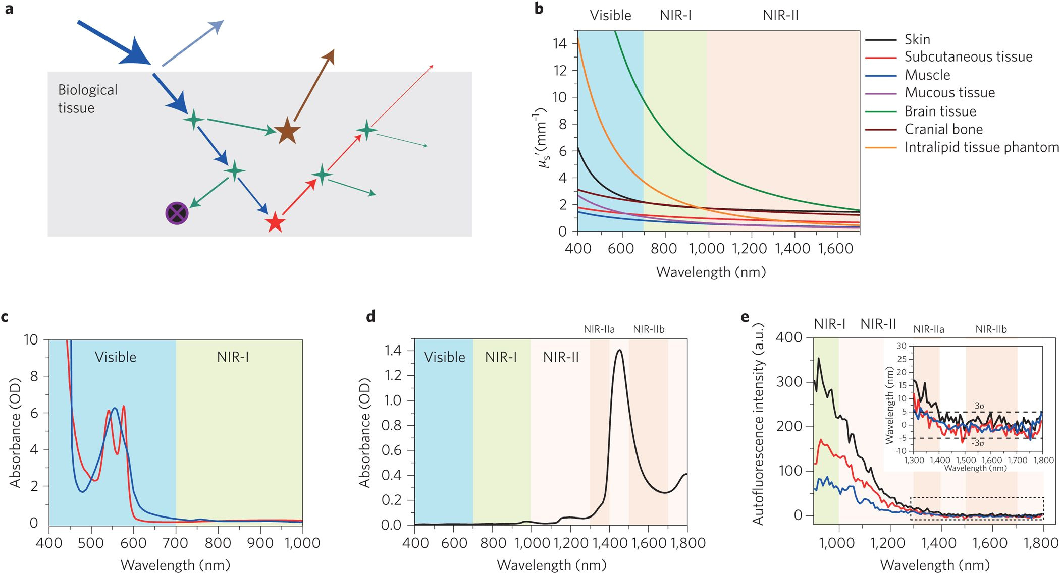 near infrared fluorophores for biomedical imaging nature biomedical engineering