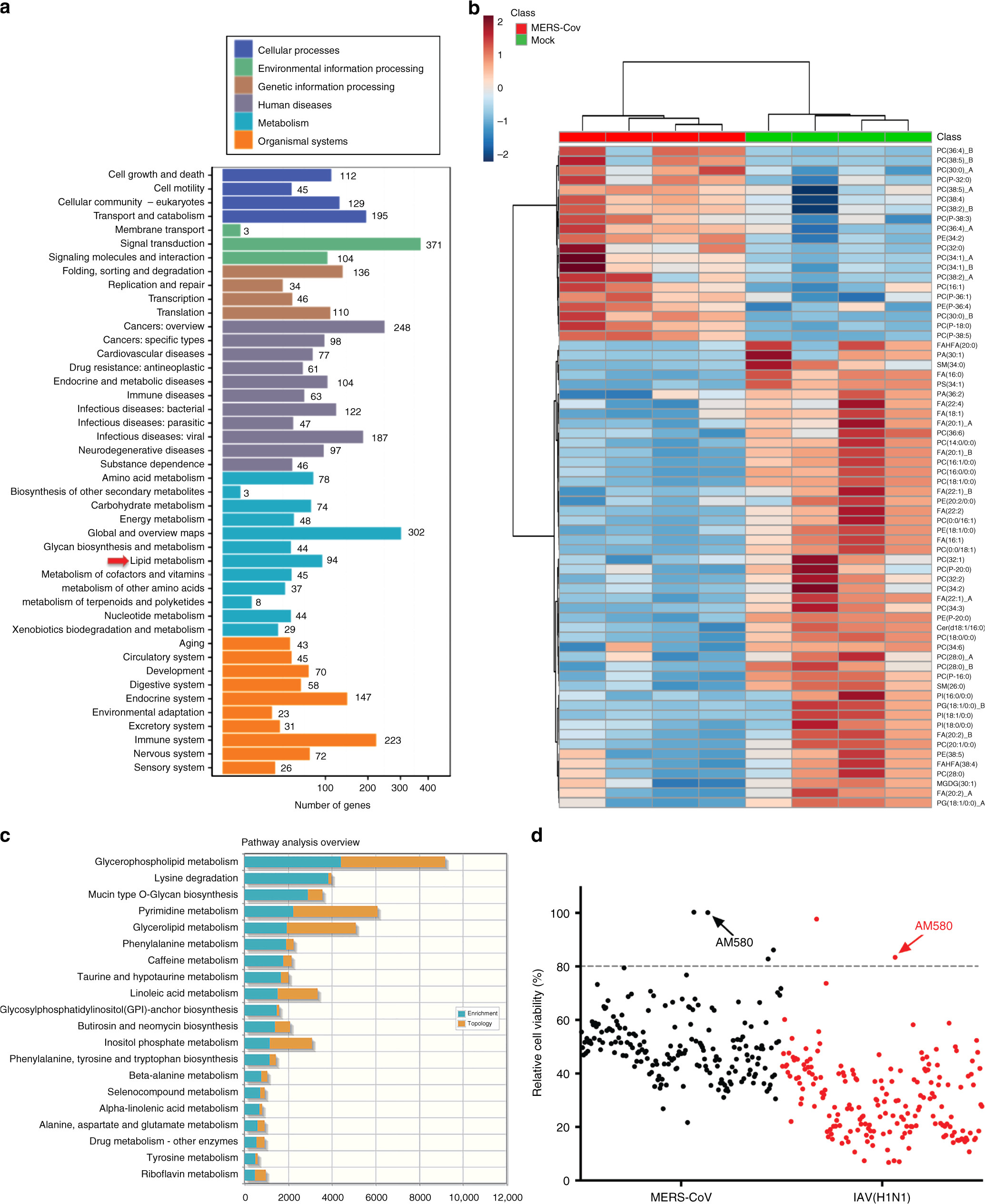 srebp dependent lipidomic reprogramming as a broad spectrum antiviral target nature communications