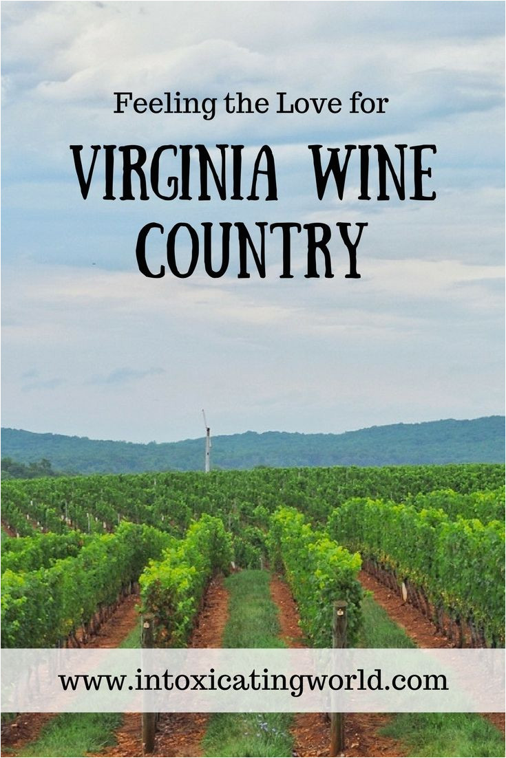 feeling the love for virginia wine country