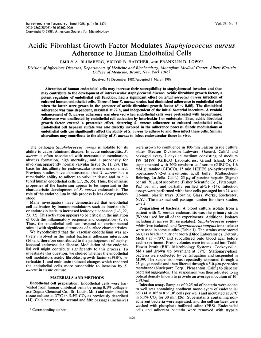 pdf acidic fibroblast growth factor modulates staphylococcus aureus adherence to human endothelial cells