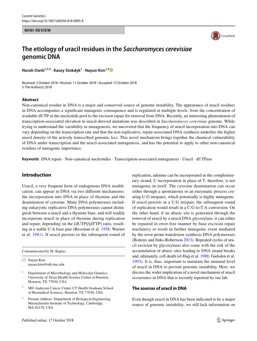 pdf rad5 coordinates translesion dna synthesis pathway by recognizing specific dna structures in saccharomyces cerevisiae