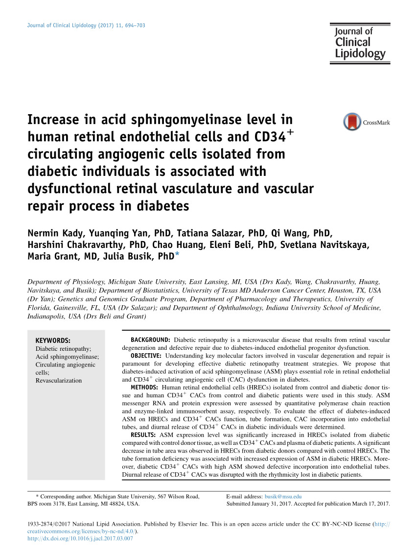 angiogenic cells isolated from diabetic individuals is associated with dysfunctional retinal vasculature and vascular repair process in diabetes