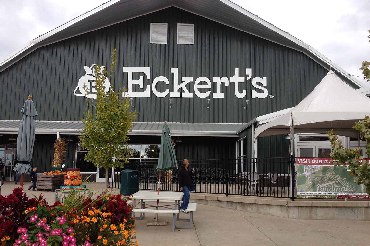 apple fest at eckert s orchards