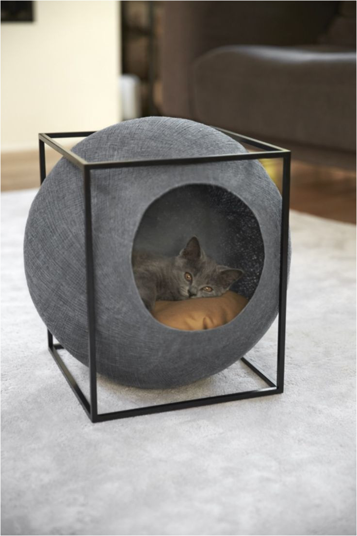 los accesorios para gatos no tienen por que estar rea idos con el disea o