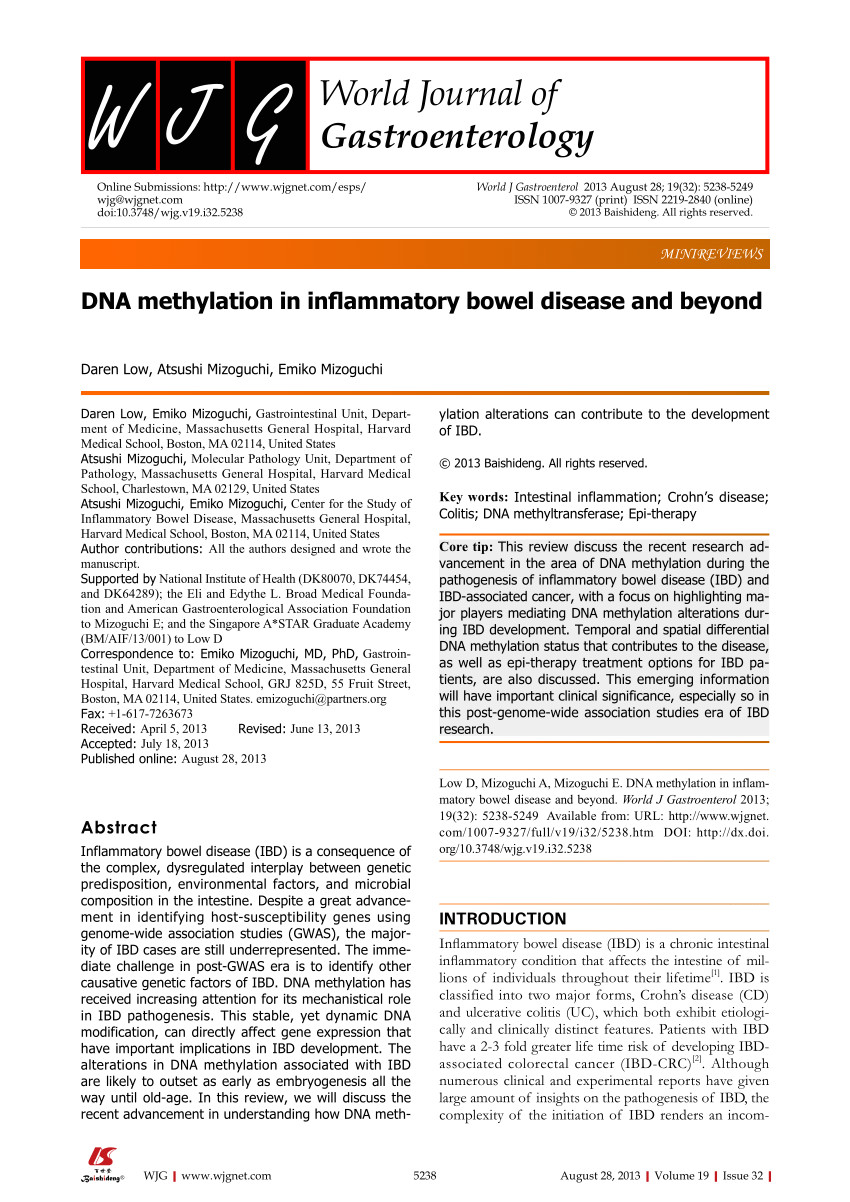 pdf dna methylation in inflammatory bowel disease and beyond