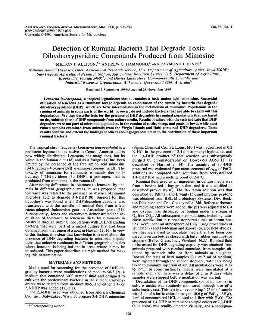 pdf detection of ruminal bacteria that degrade toxic dihydroxypyridine compounds produced from mimosine