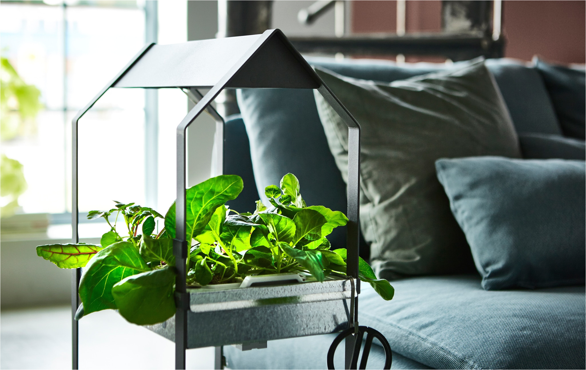 a plant stand filled with herbs and greens sits in a living room next to a