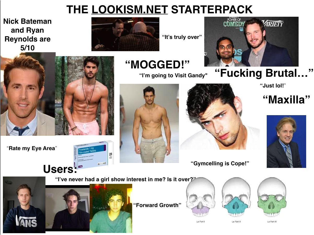 the lookism net starterpack