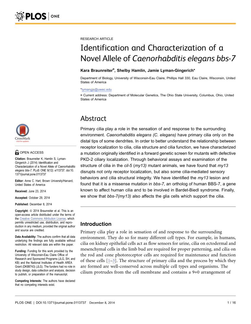 pdf opposing activities of lit 1 nlk and daf 6 patched related direct sensory compartment morphogenesis in c elegans