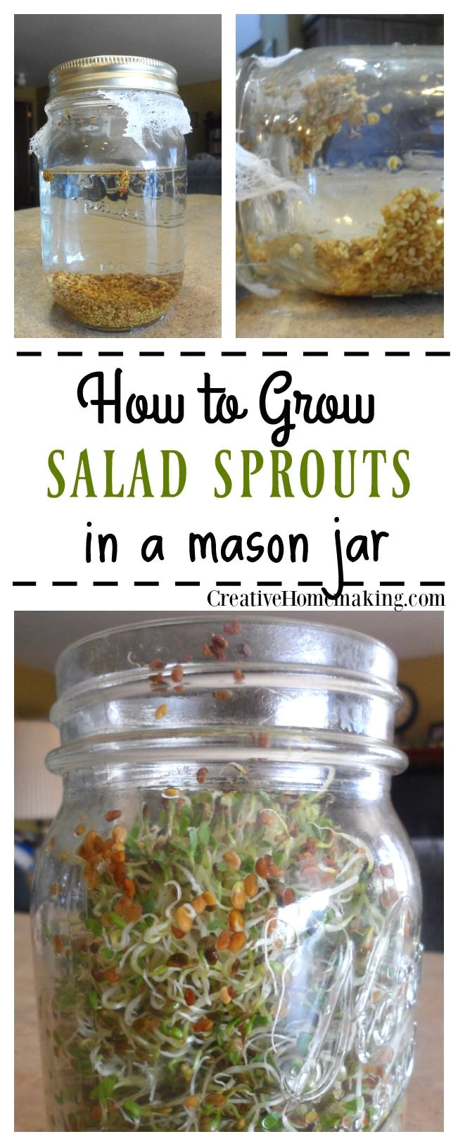 easy instructions for growing your own salad sprouts from seed in a mason jar on the