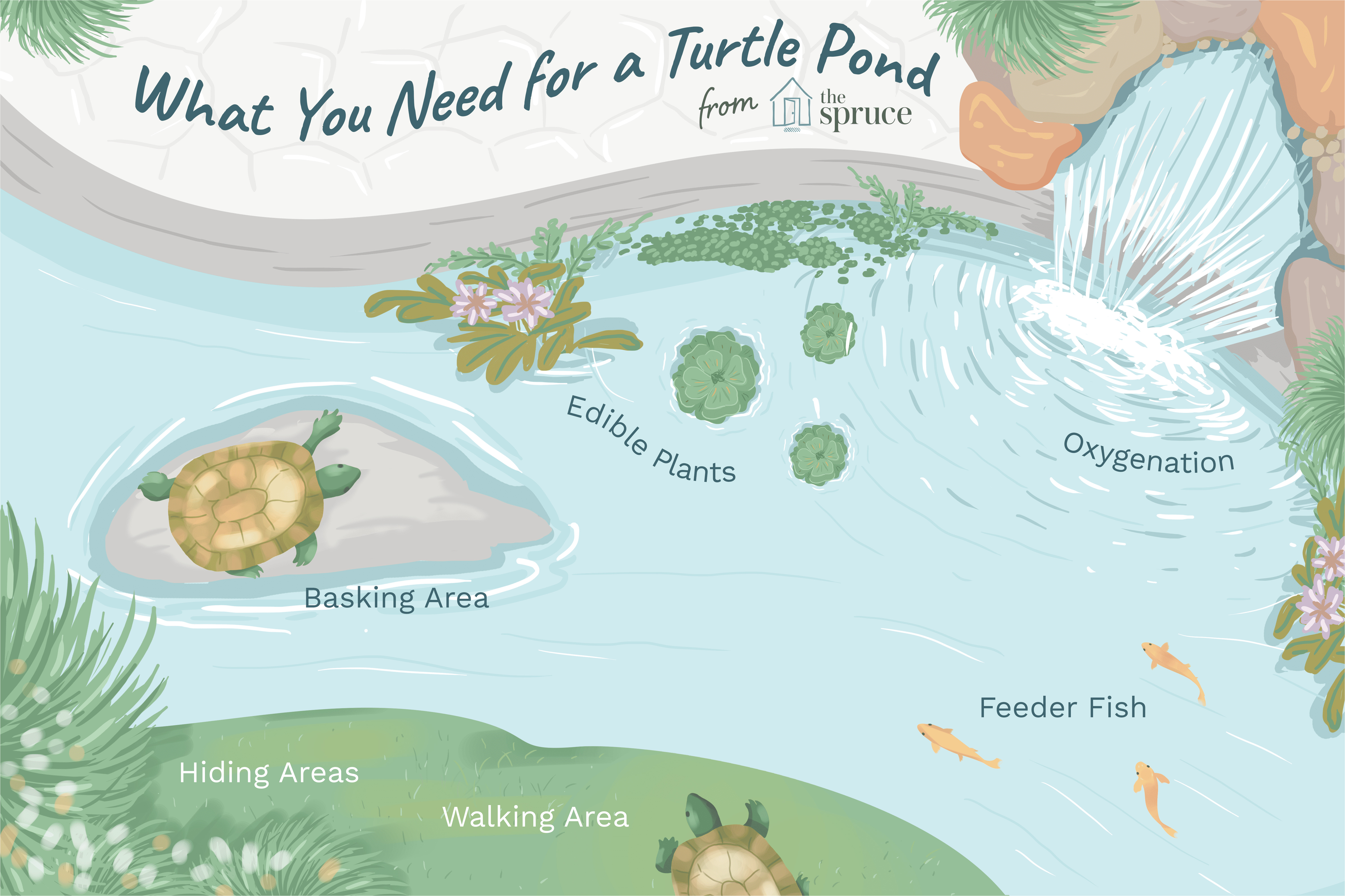 Above Ground Turtle Pond Diy Pet Aquatic Turtles and Outdoor Ponds