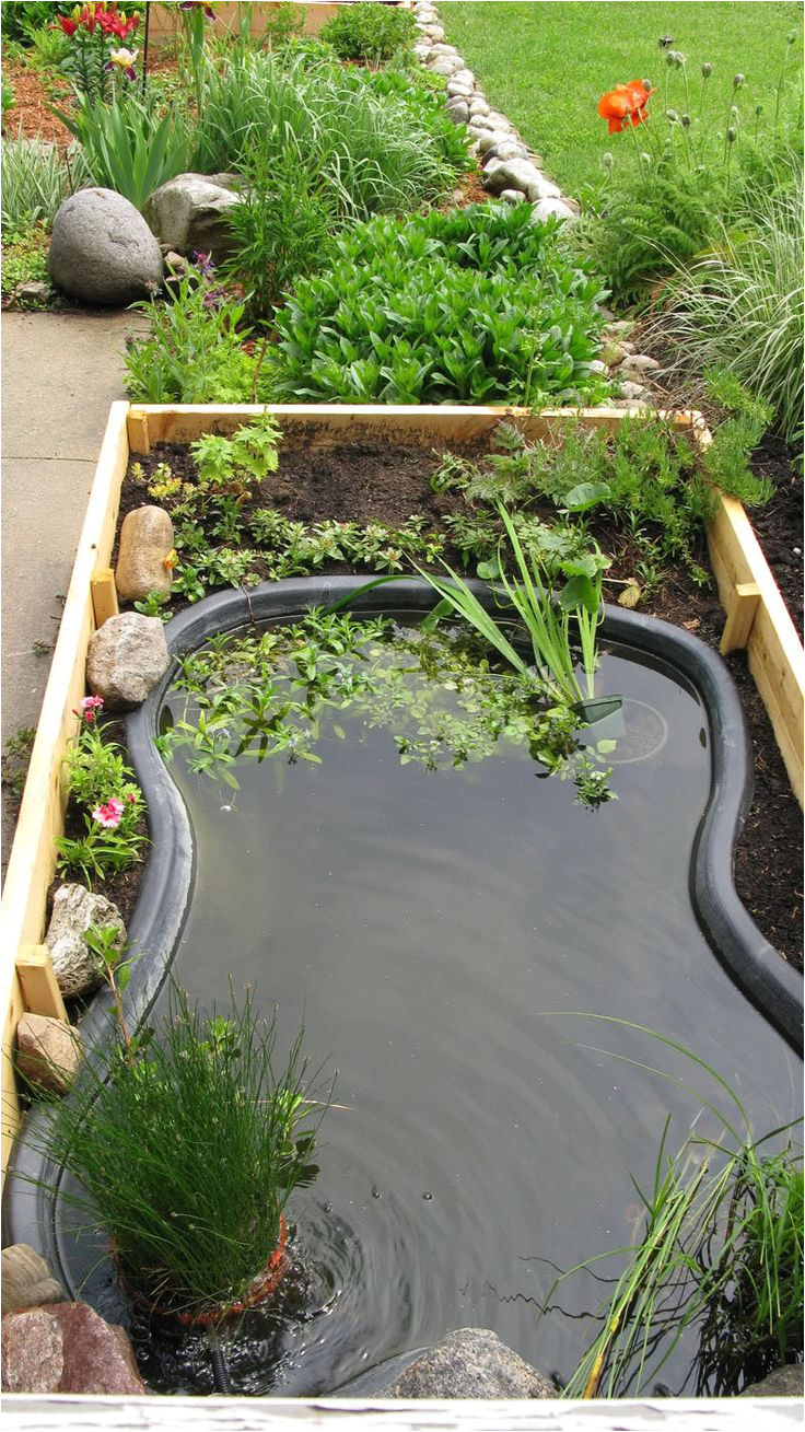 advice for starting a new garden pond using a prefabricated pond form or installing a pond