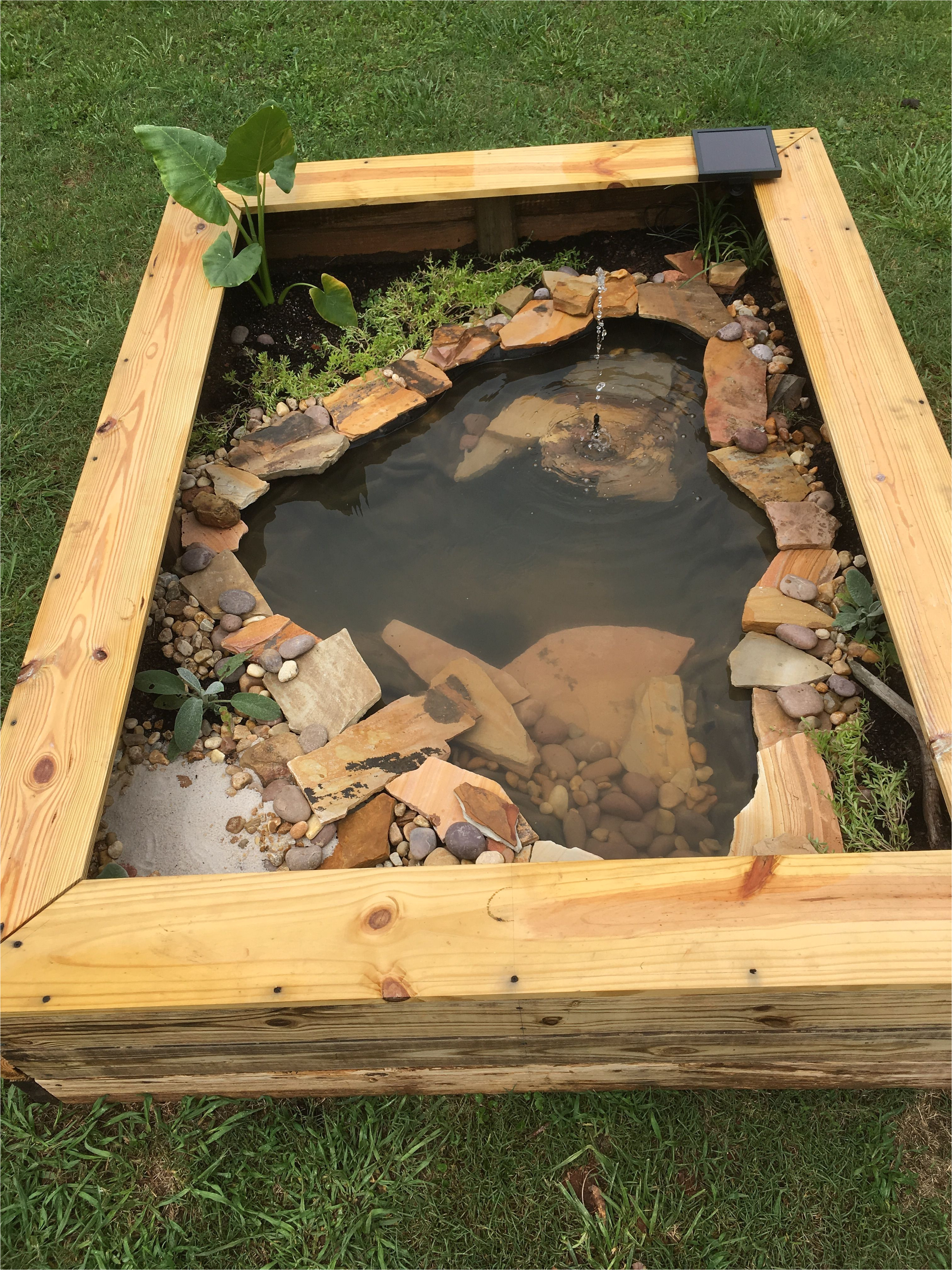 Above Ground Turtle Pond Ideas Our New Diy Above Ground Pond for Bella the Turtle Projects to