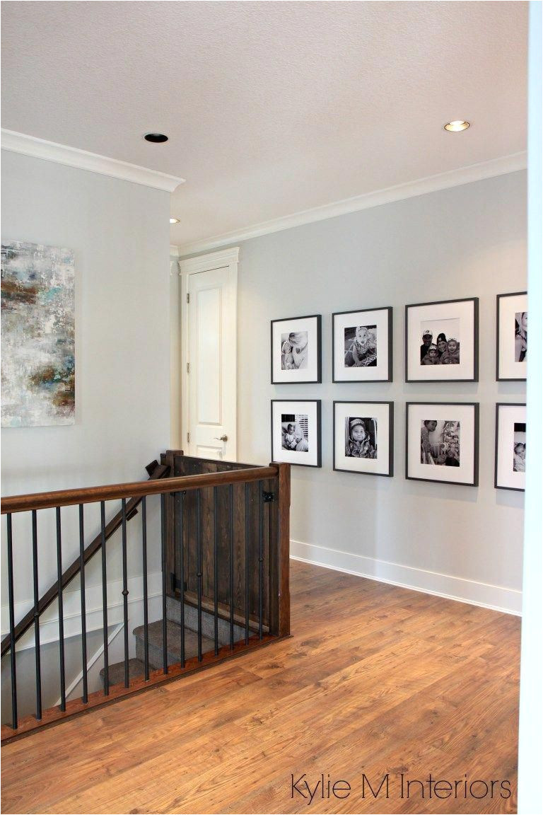 benjamin moore gray owl a best gray paint colour for dark