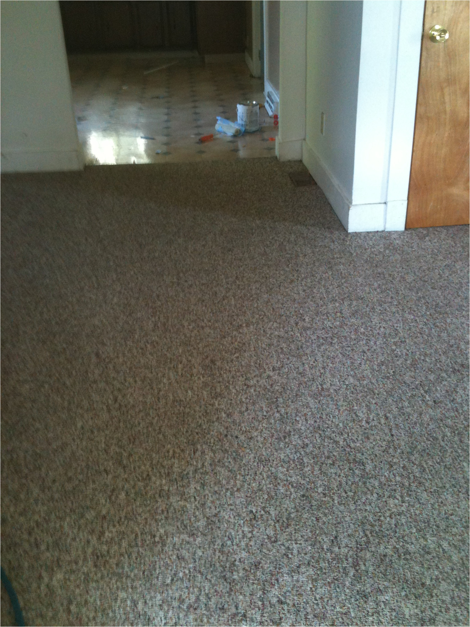 img 0294 carpet cleaning grand rapids