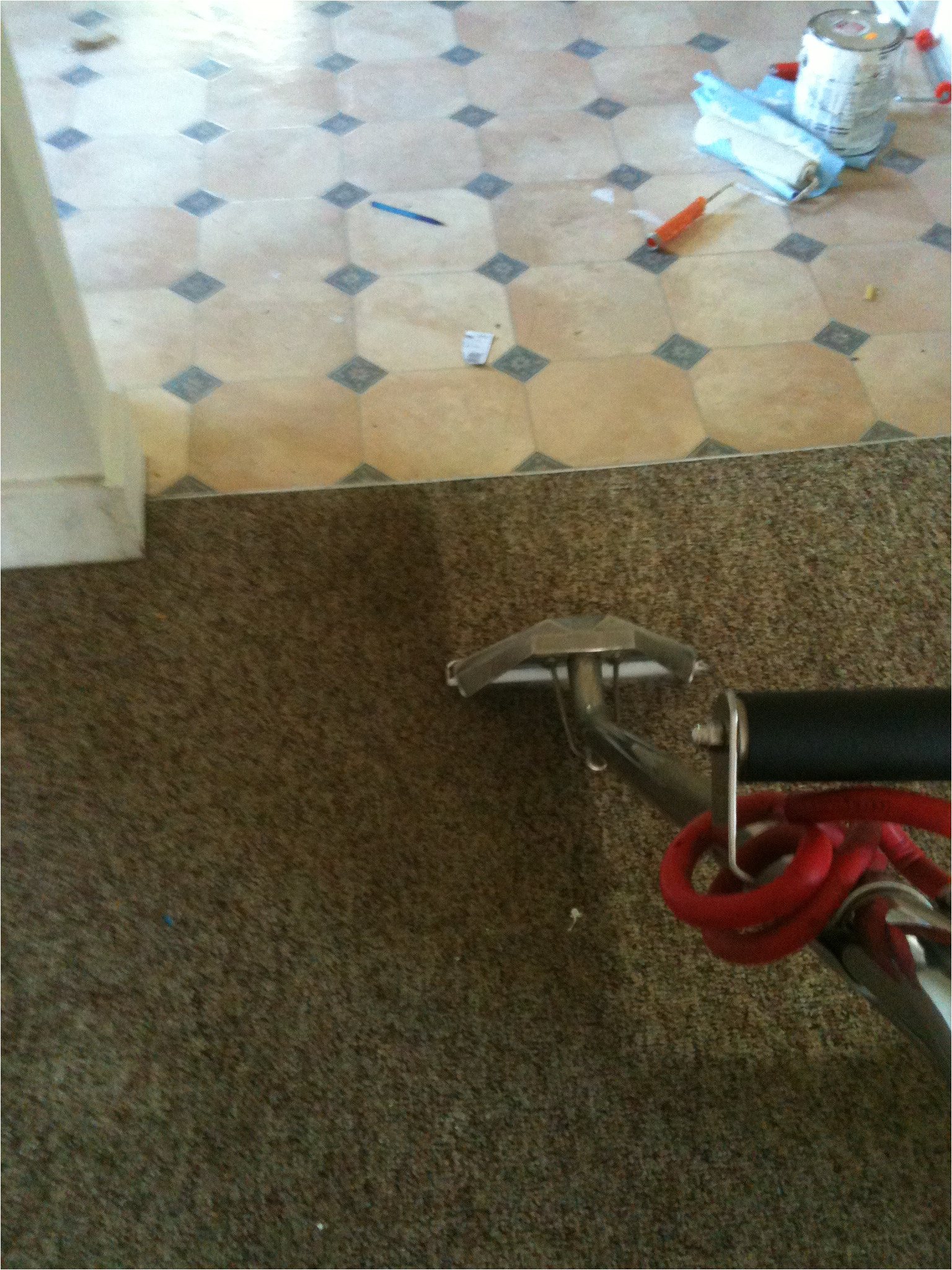 img 0284 carpet cleaning grand rapids