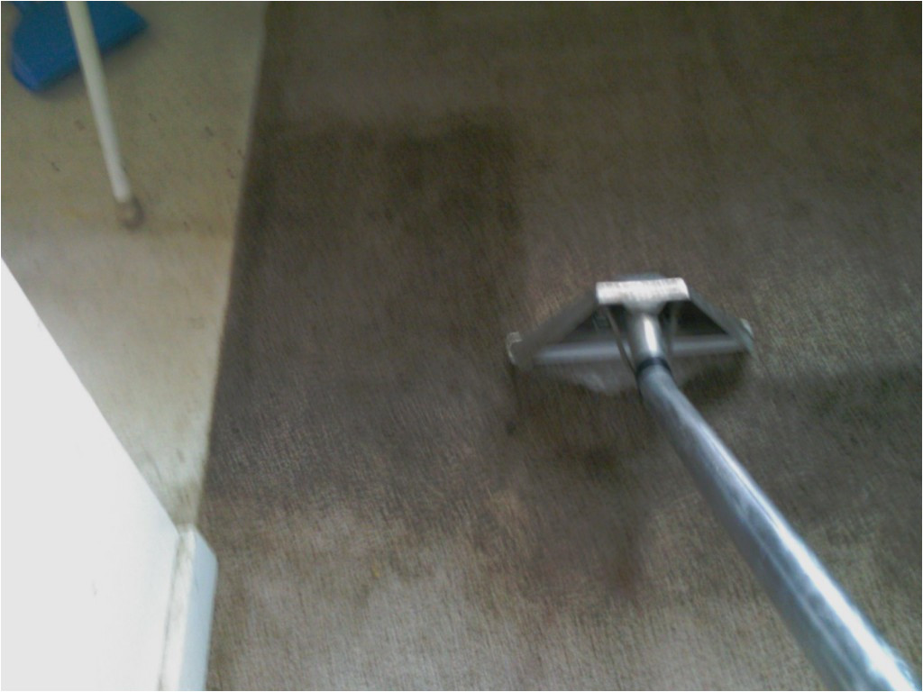 steam cleaning carpet cleaning grand rapids