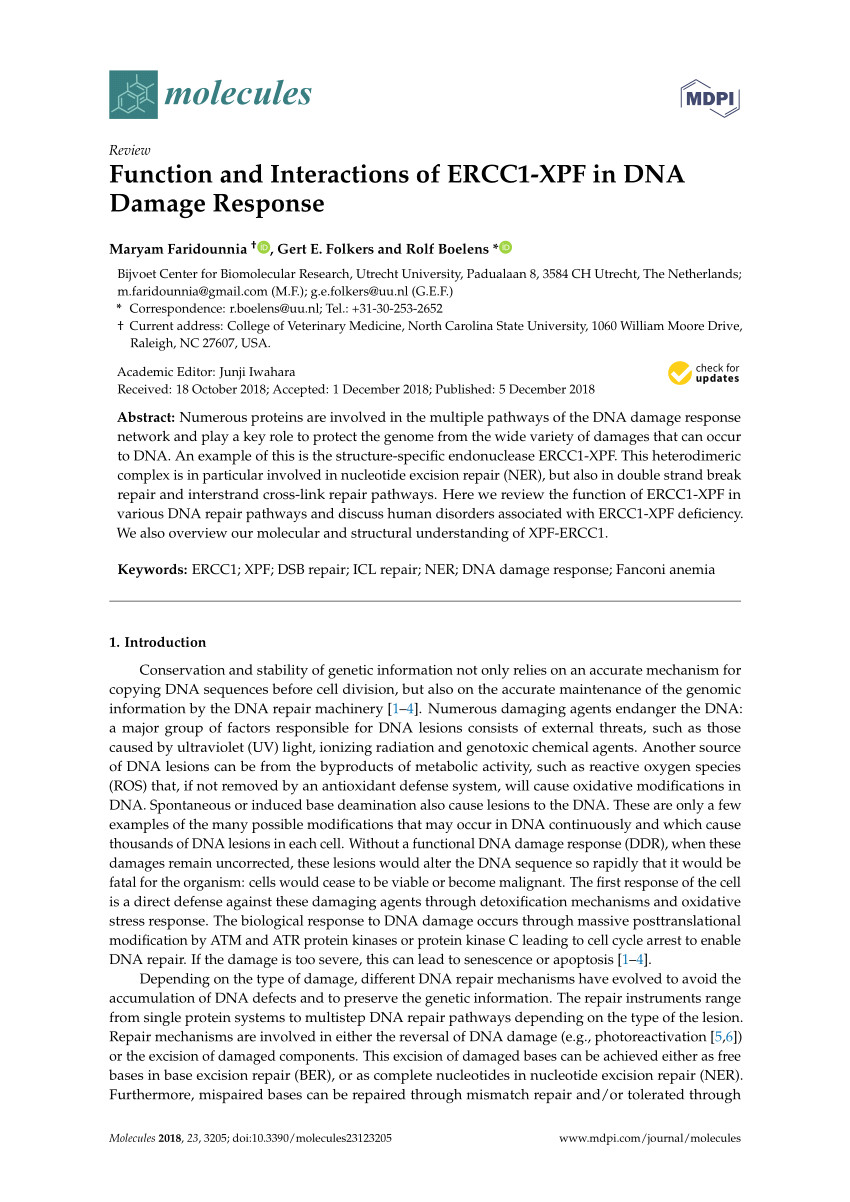 pdf the cerebro oculo facio skeletal syndrome point mutation f231l in the ercc1 dna repair protein causes dissociation of the ercc1 xpf complex