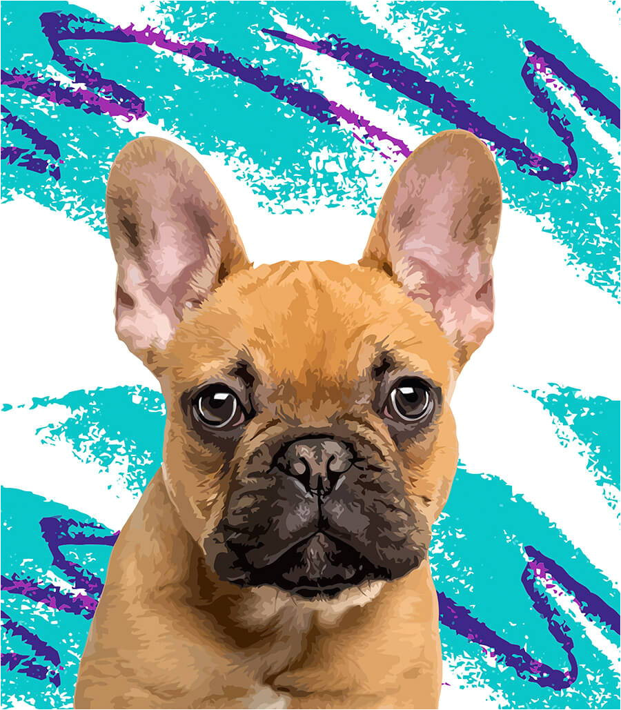 our modern pop art look is the perfect way to celebrate your pupper this is a progressive comic look that makes your pup pop paired with our backgrounds