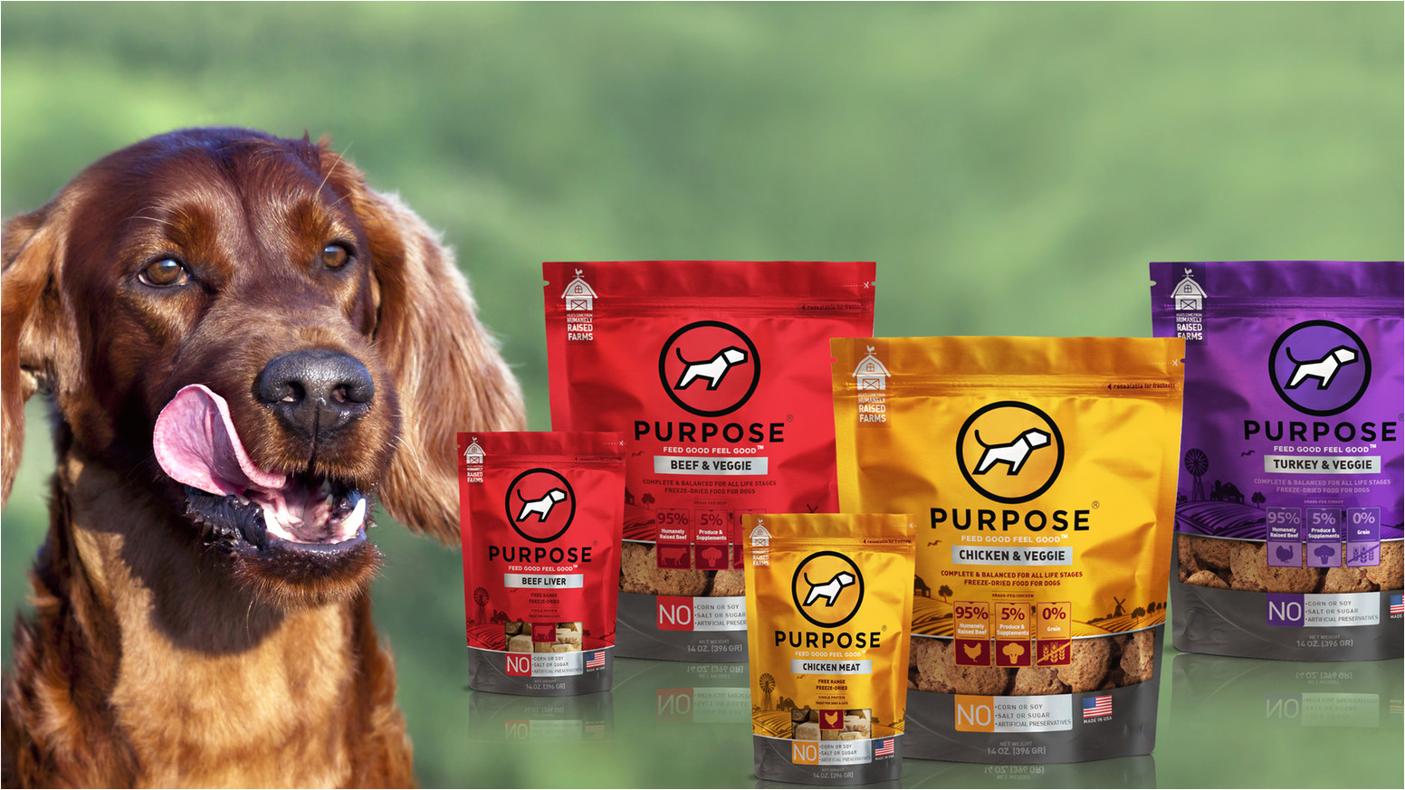we offer ethically sourced freeze dried food for dogs treats for dogs and