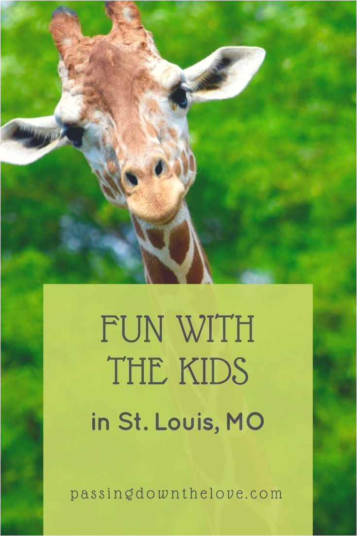 here are some fun things to do with kids in st louis some widely known but others unique hidden gems plan and love your visit to st