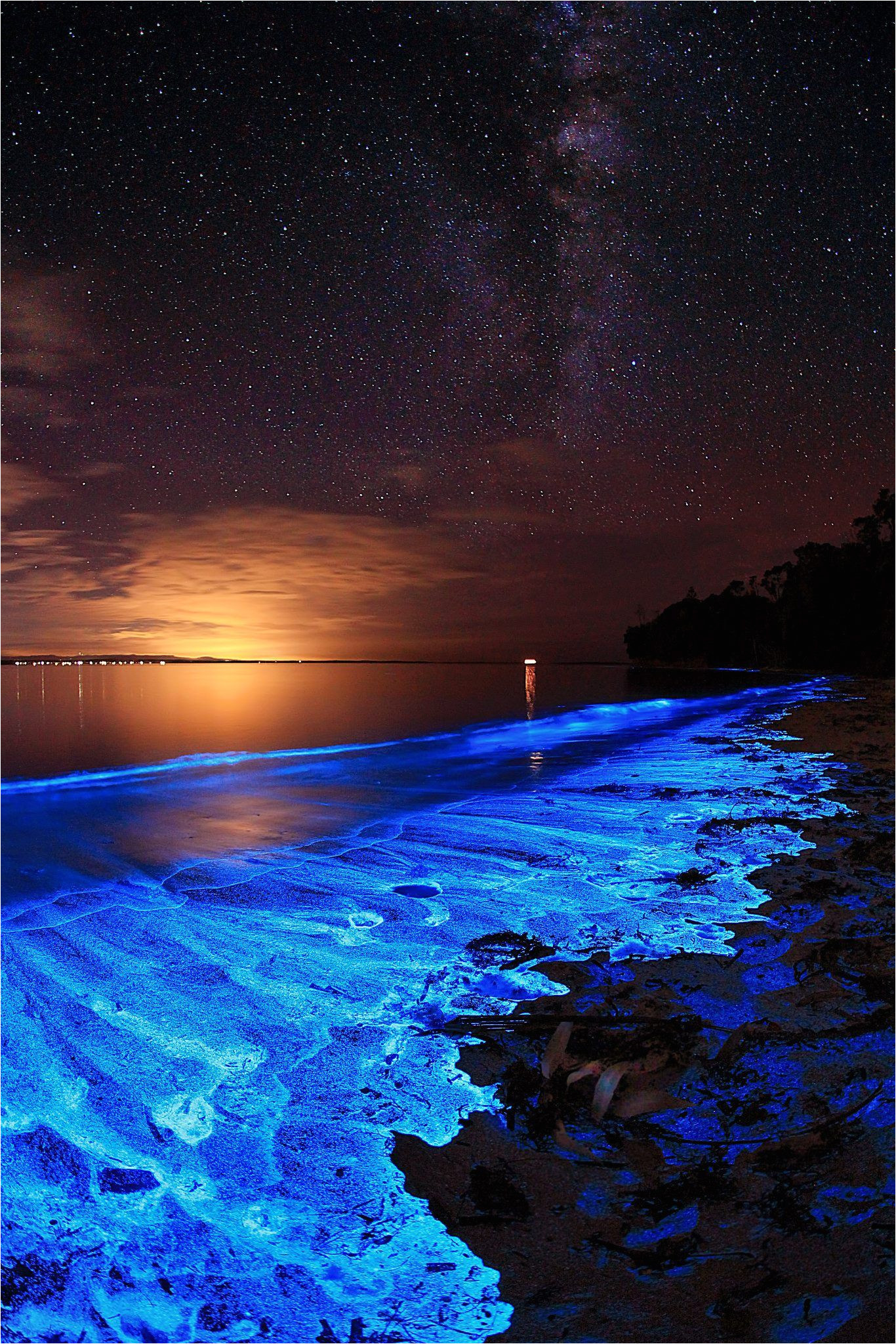 Grand Cayman Bioluminescence tour Australian Sunset Illuminated with the Blue Glow Of Bioluminescent