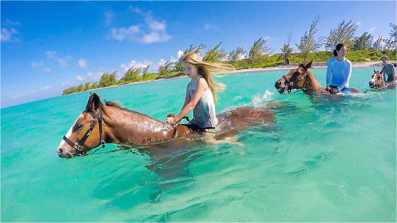 yes you can ride a swimming horse this pampered ponies tour is one of the best things to do in grand cayman with kids and without