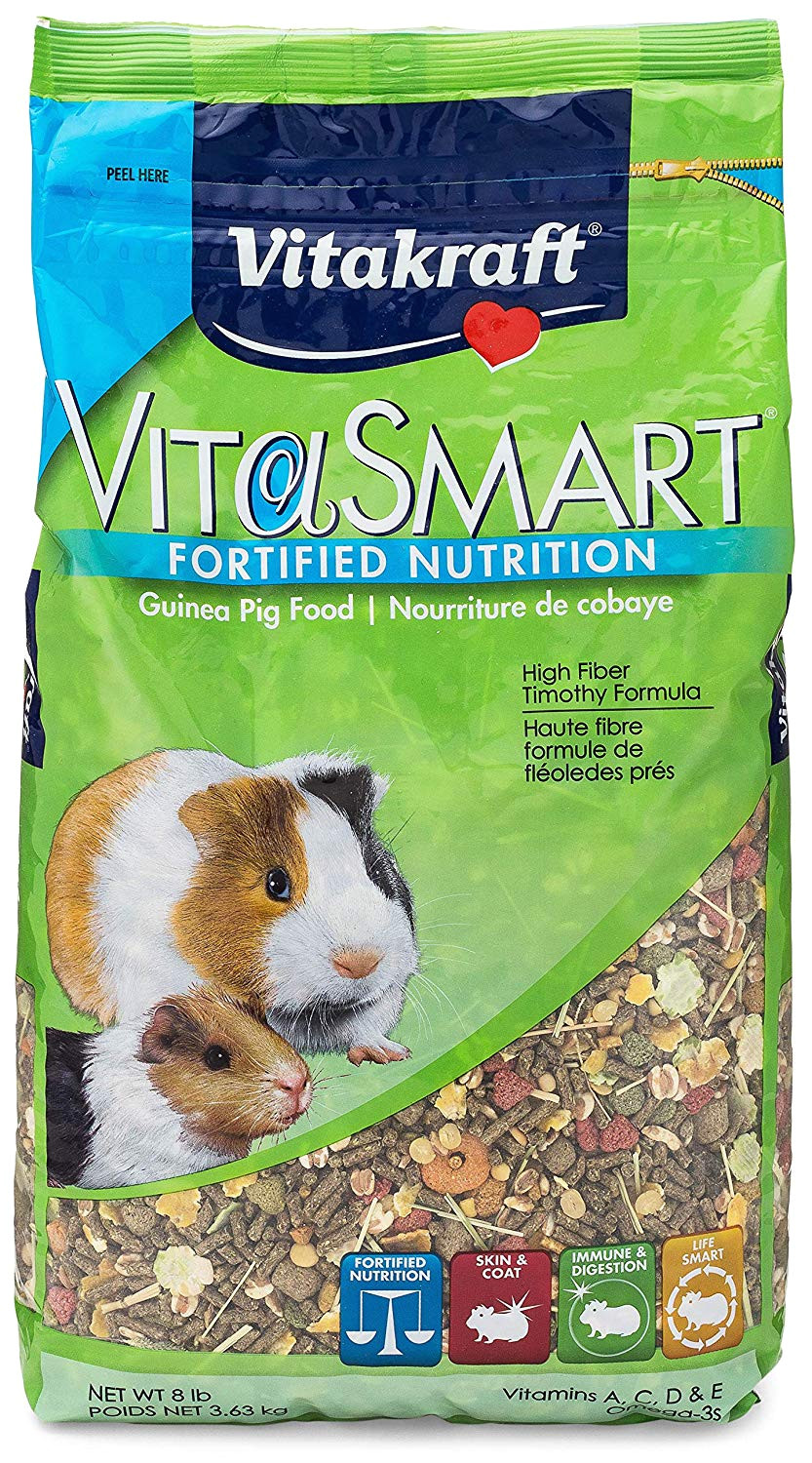 Guinea Pig soft toy Amazon Amazon Com Vitakraft Guinea Pig Food High Fiber Timothy formula 1