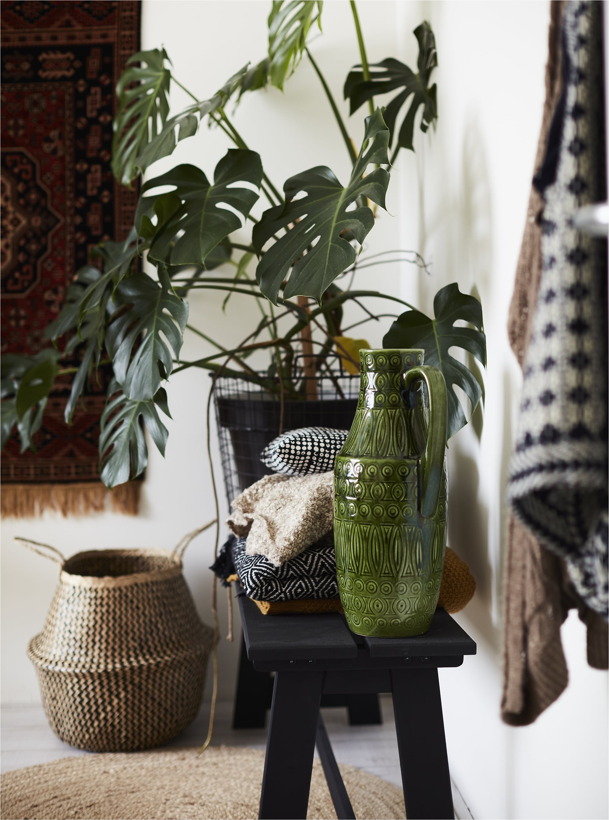 ceramics and plants displayed on a bench