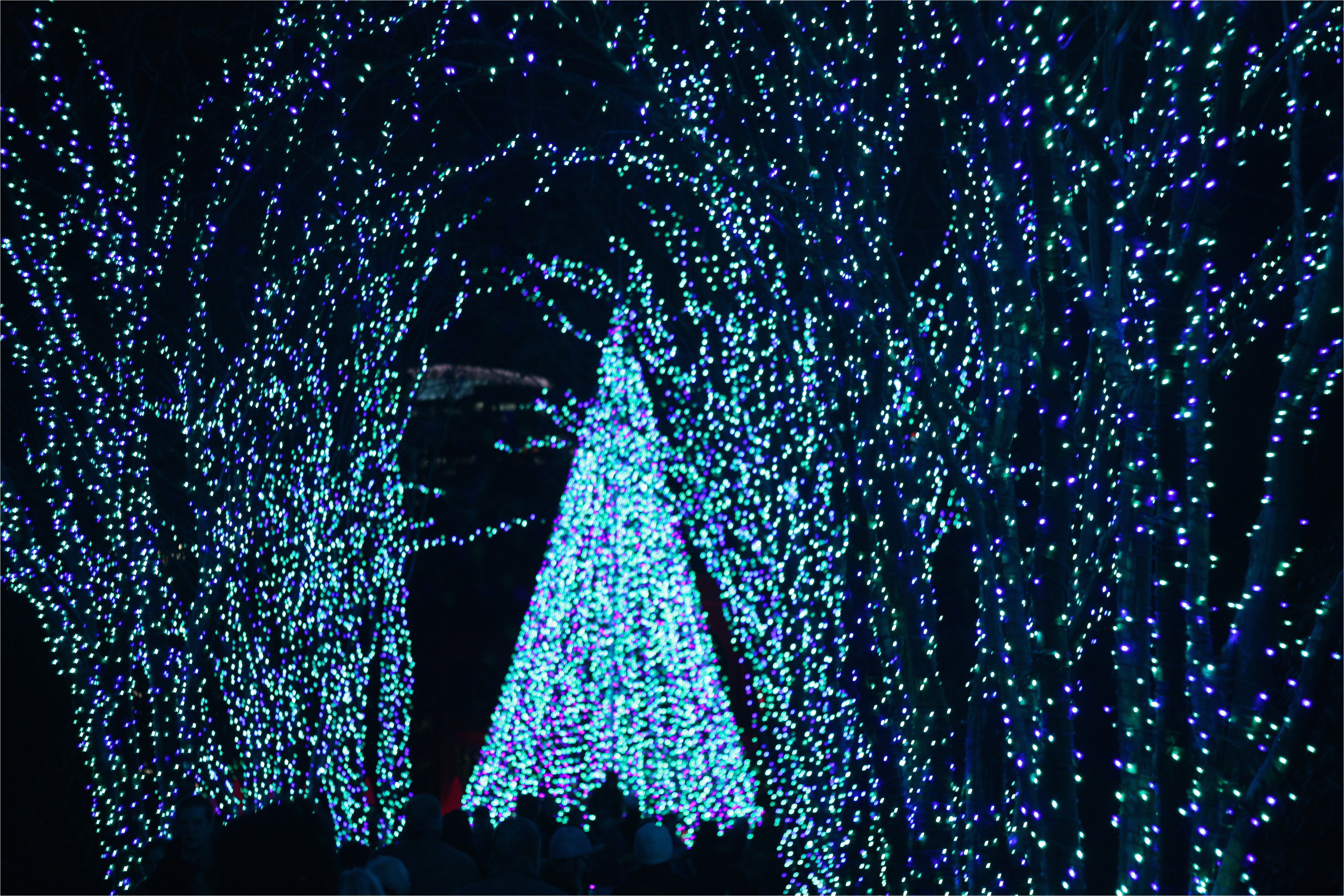 awesome garden lights atlanta botanical garden in gorgeous atlanta botanical garden holiday lights or ice goddess