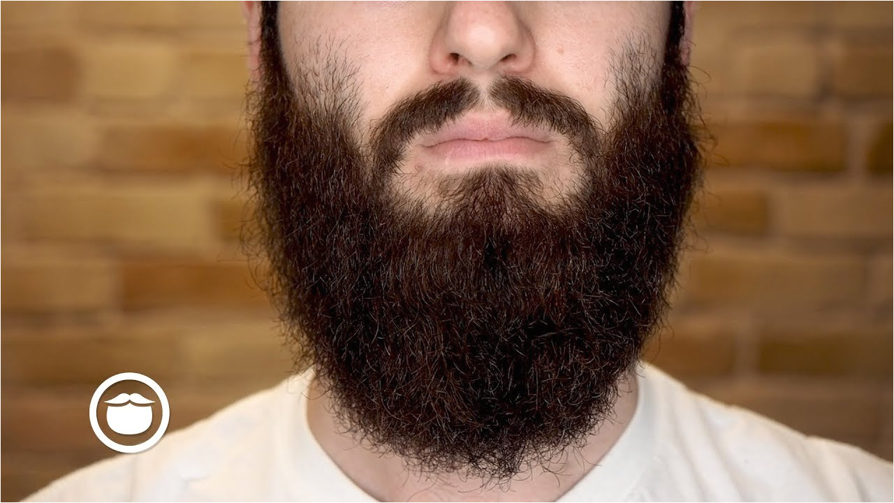 how to straighten a wild curly beard yeard week 21