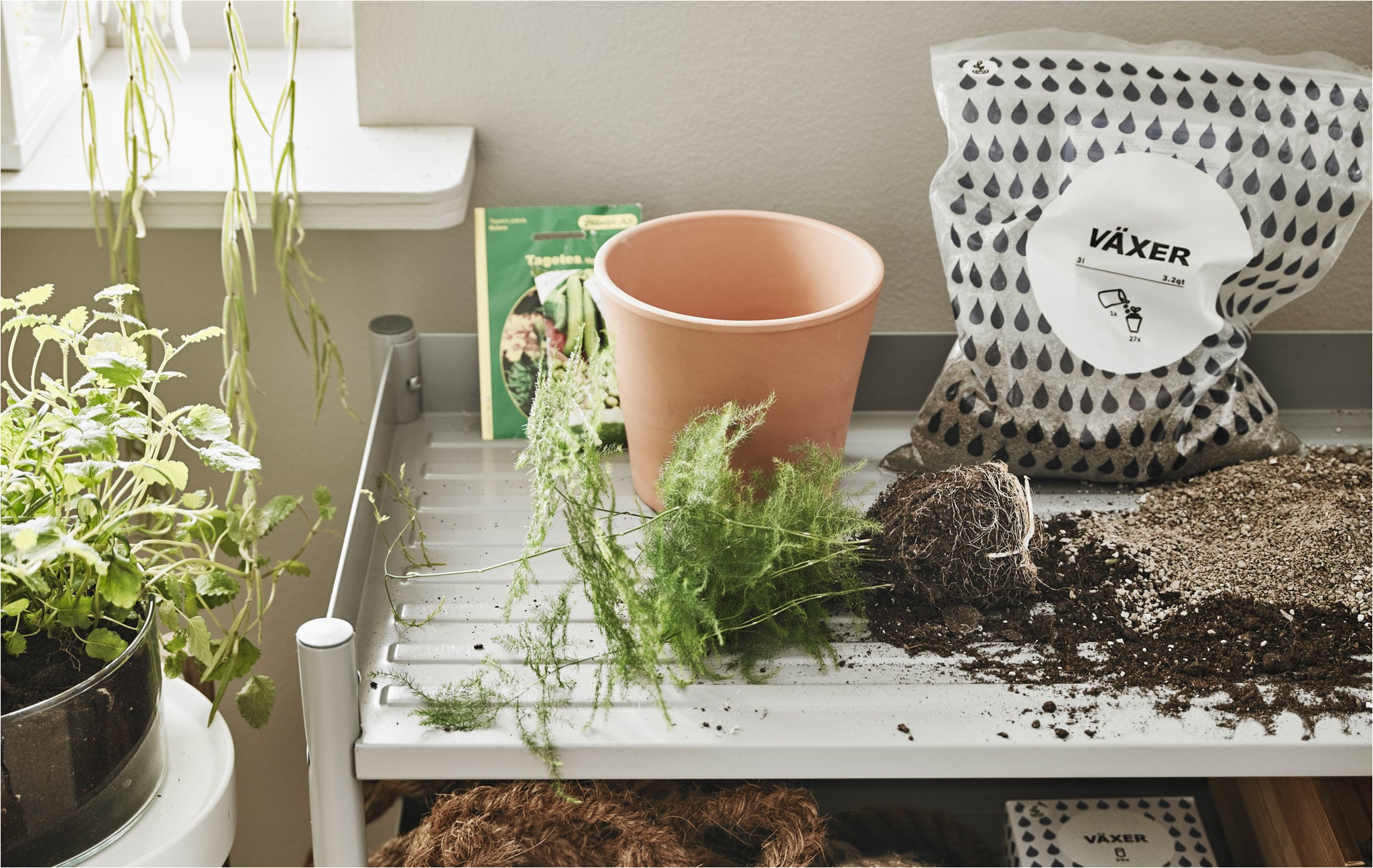 a close up image of a small metal shelf that serves as a planting station