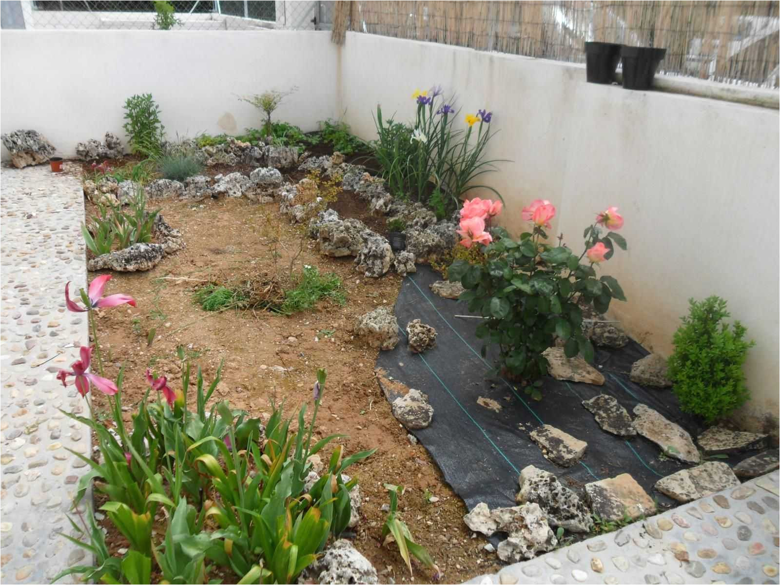 awesome diseo jardines pequeos modelos diseno pequenos en casa patios with diseo jardines pequeos