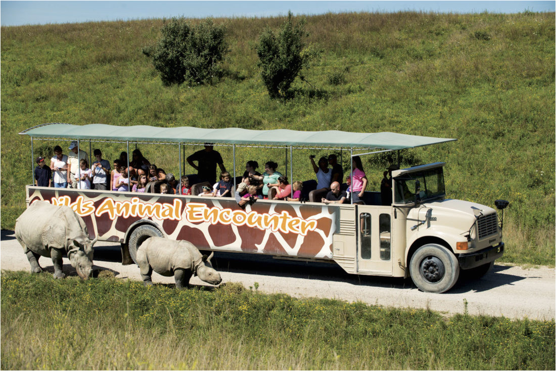 owned by jack hanna the wilds conservation center is located about an hour and a half outside of columbus but it s certainly worth the trip to let your