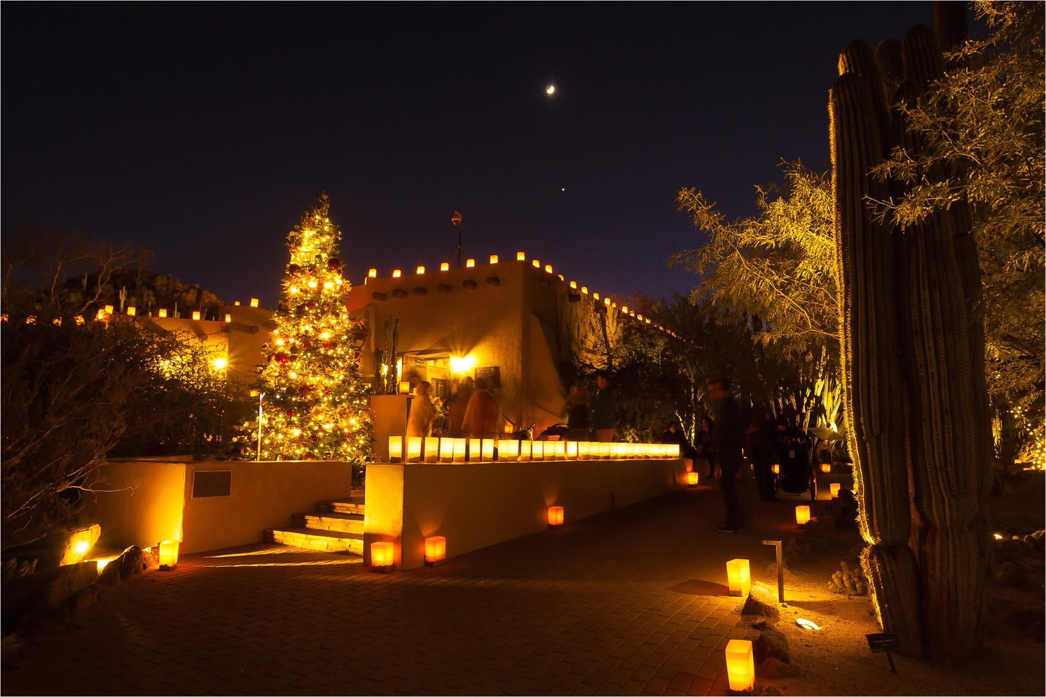 las noches de las luminaries desert botanical gardens phoenix