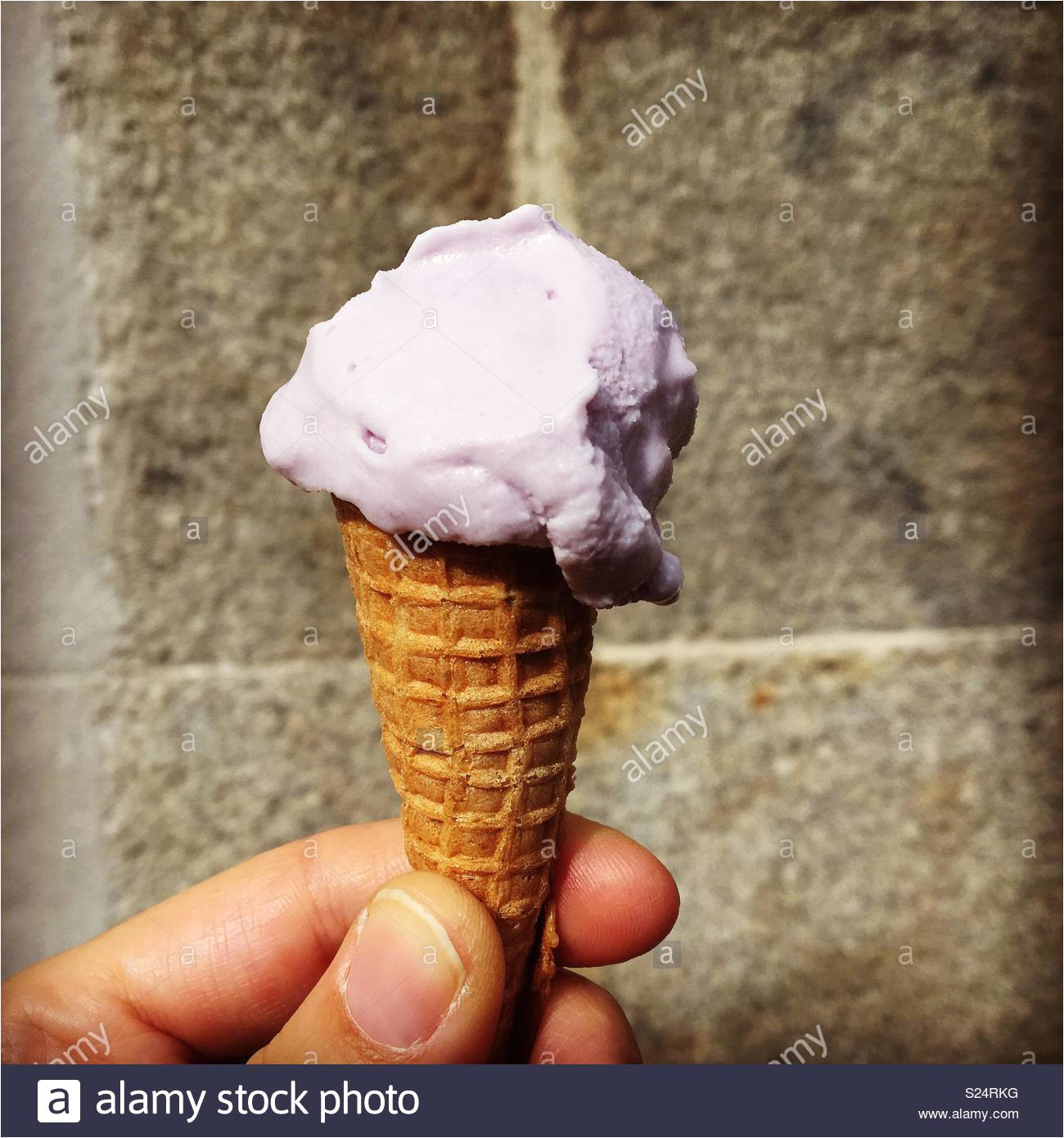 mini ice cream stock image