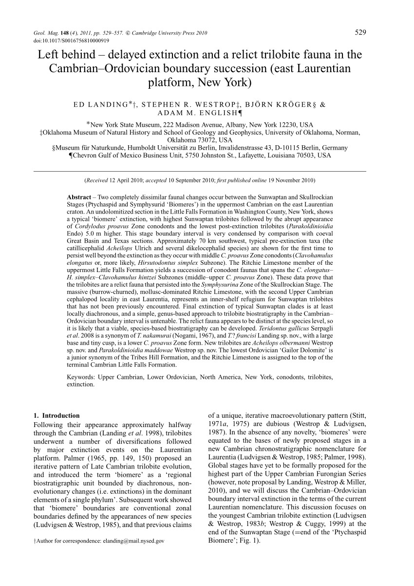 pdf cephalopods and paleoenvironments of the fort cassin formation upper lower ordovician eastern new york and adjacent vermont