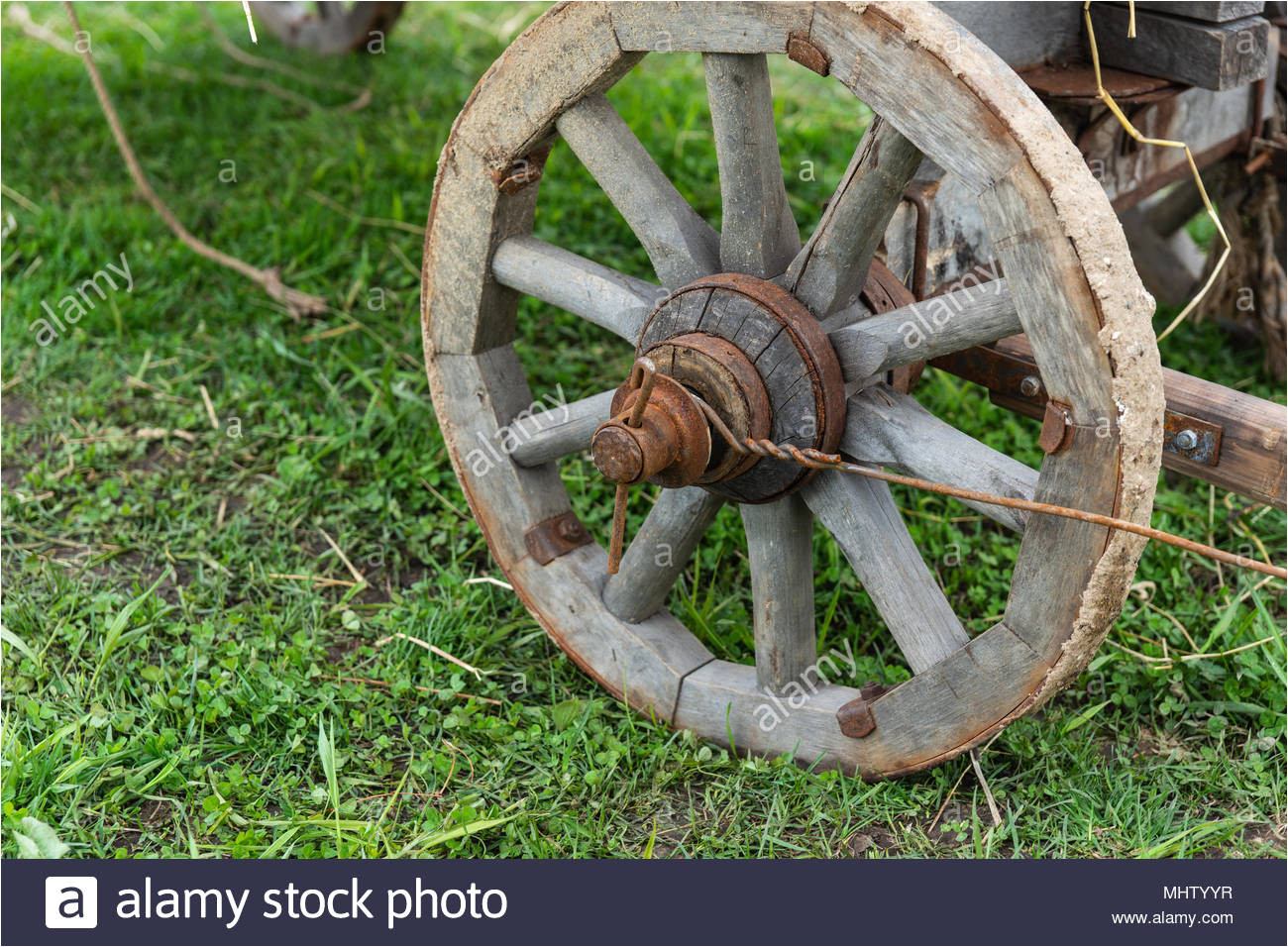 wooden wheel of an ancient cart on a ground covered with green grass rusty metal