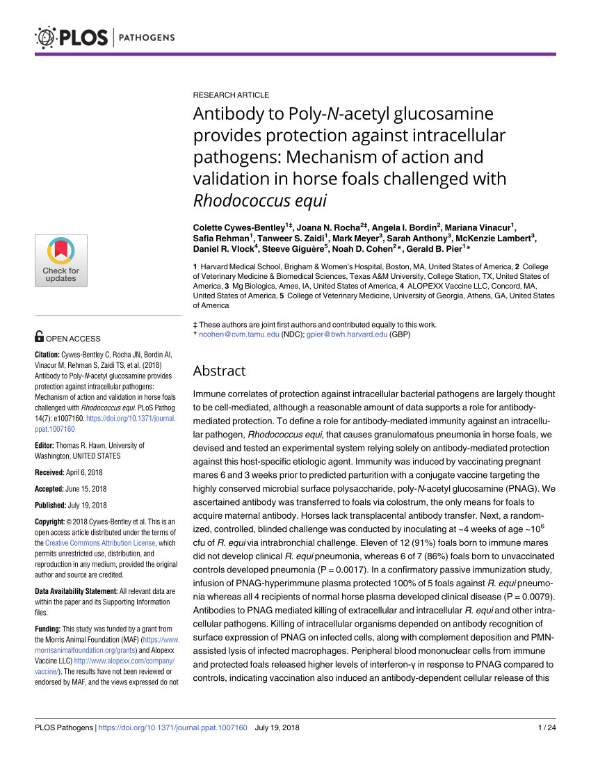 pdf antibody to poly n acetyl glucosamine provides protection against intracellular pathogens mechanism of action and validation in horse foals