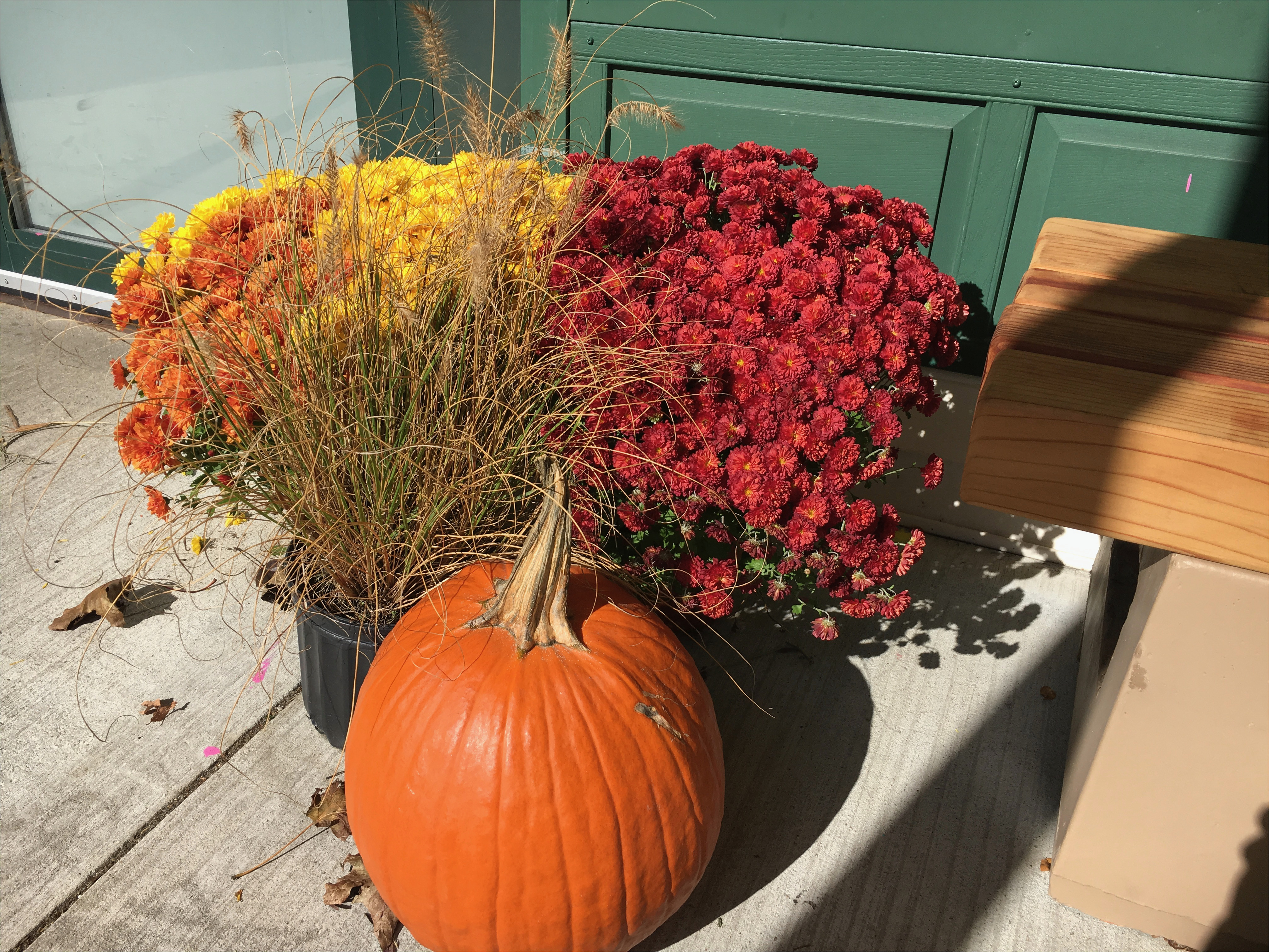 our valued business 500 partners and colonial gardens for the lovely fall display they provided to extend the open table welcome to our front entrance